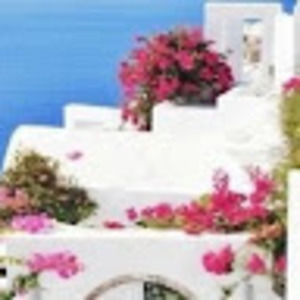 Meet your Posher, Cynthia